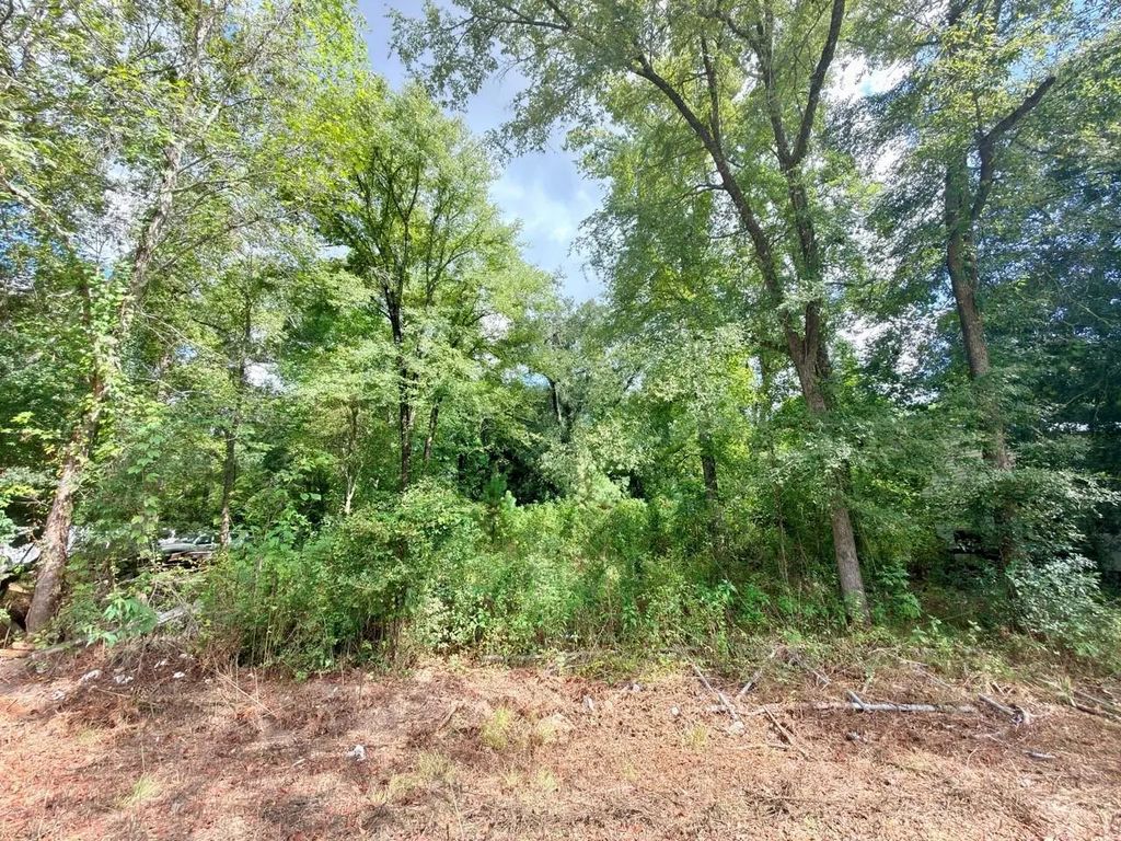 10839 River Dr, Houston