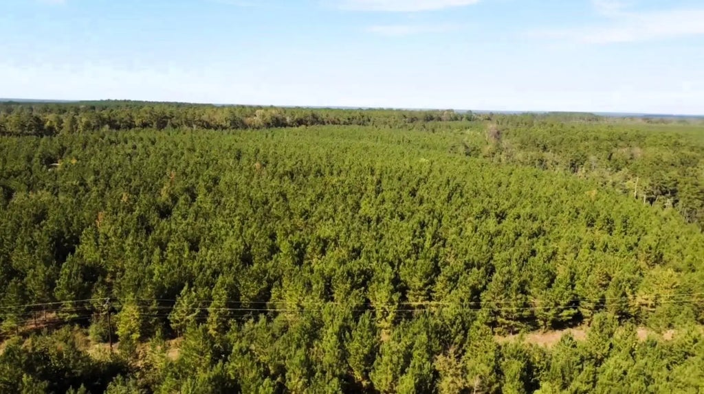 Us Highway 190 E, Livingston