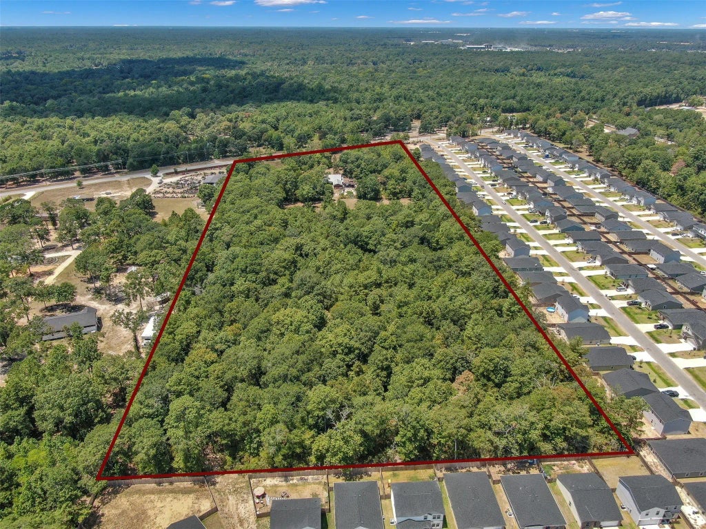 10173 Crockett Martin Road, Conroe