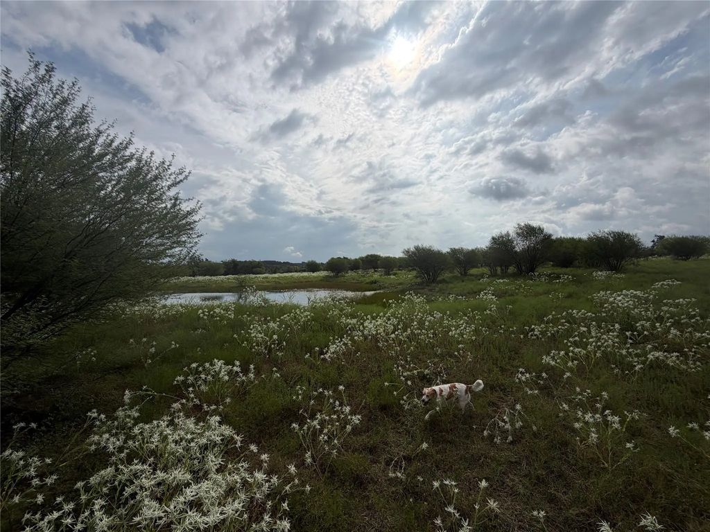 13030 County Road 446, Navasota