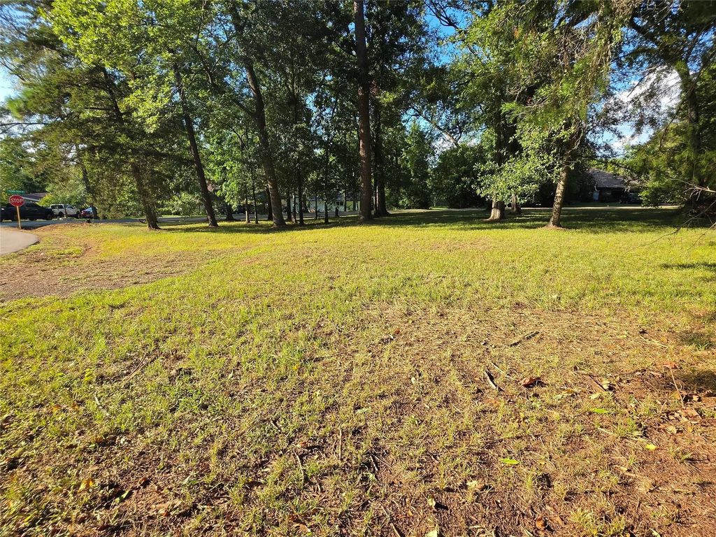 Lot 28 Lakeview Manor, Willis