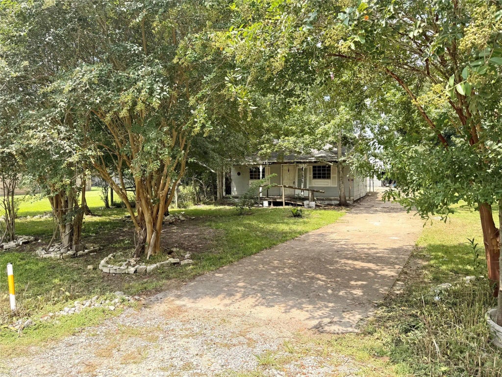 380 Gum, Bridge City