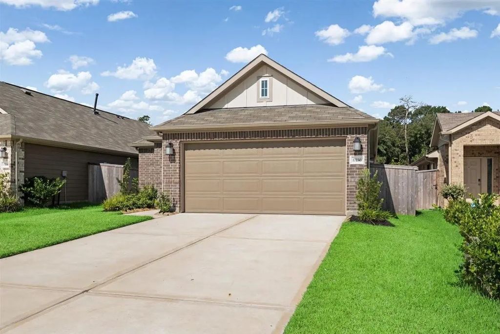 17230 Black Ash Court, New Caney
