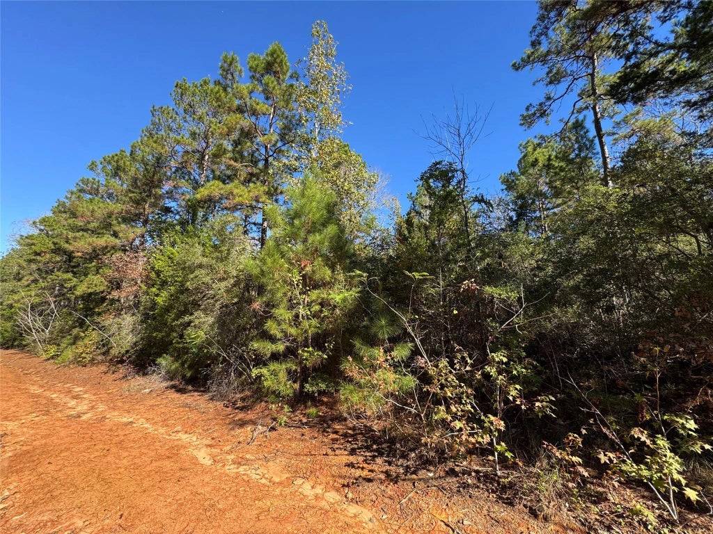 Fagan Dr Drive, Livingston