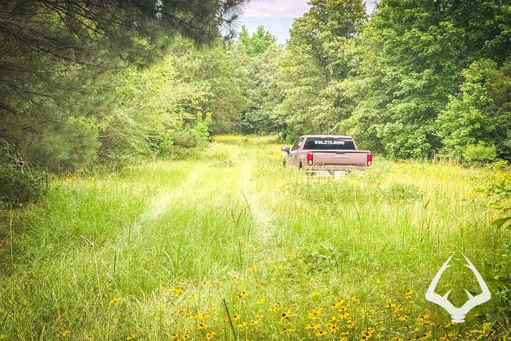 1580 00 County Road 4366, Tenaha