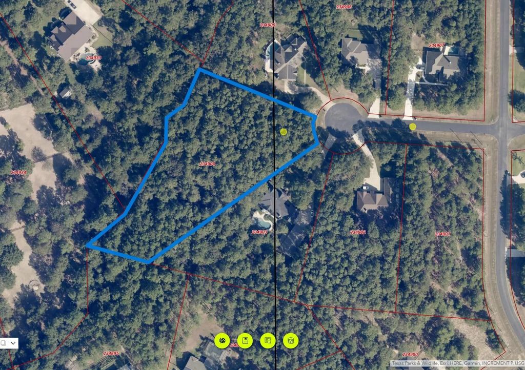 30000 W Stallion Lane, Waller