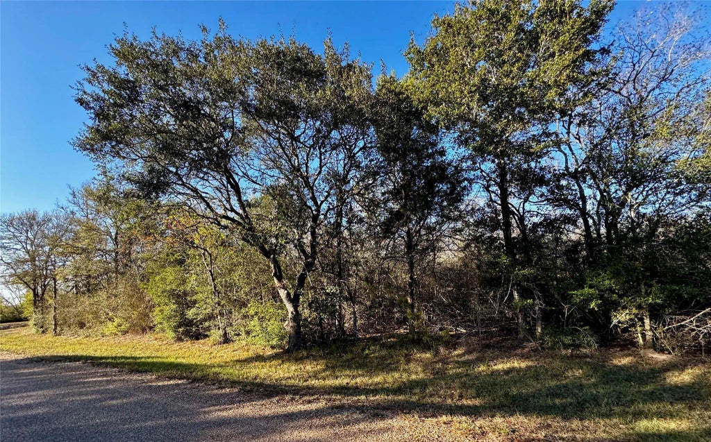 Tinkler Street, Rock Island