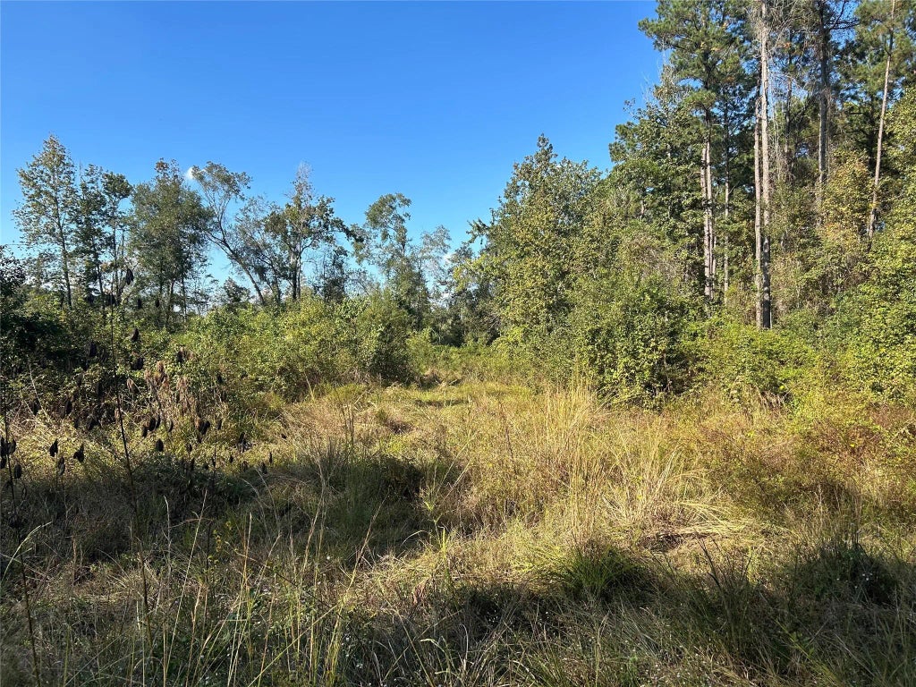 Lot 16 County Road 2235, Cleveland