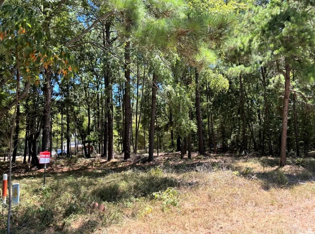 Willowick Lane, Livingston