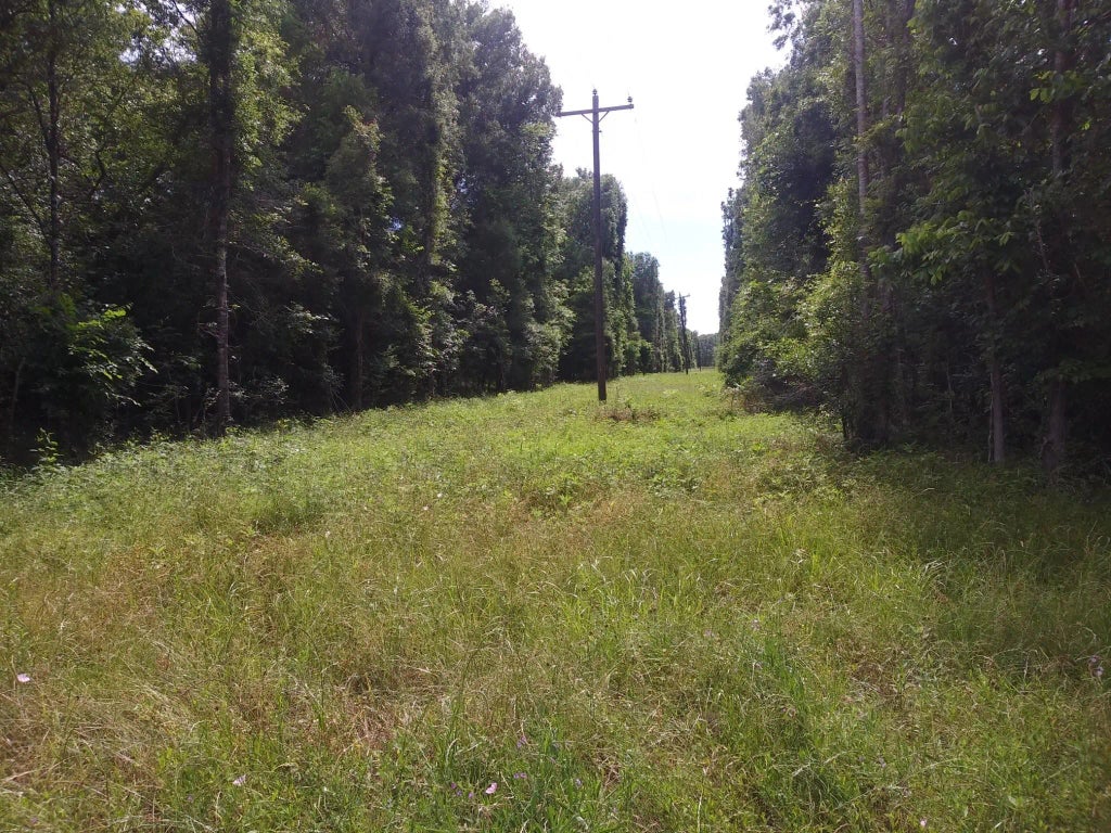 Tbd County Road 2853, Cleveland