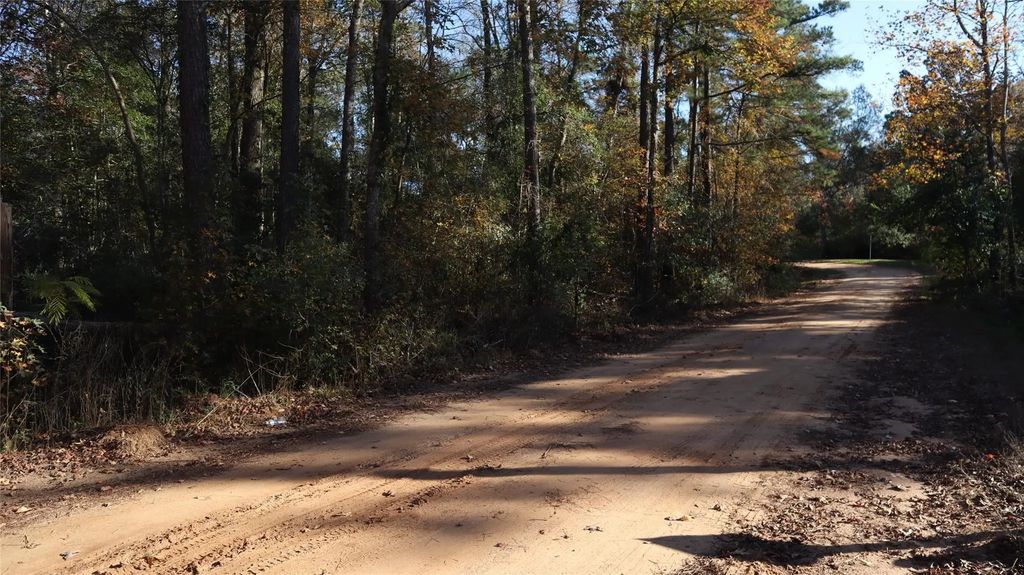 Mallard Drive, Coldspring