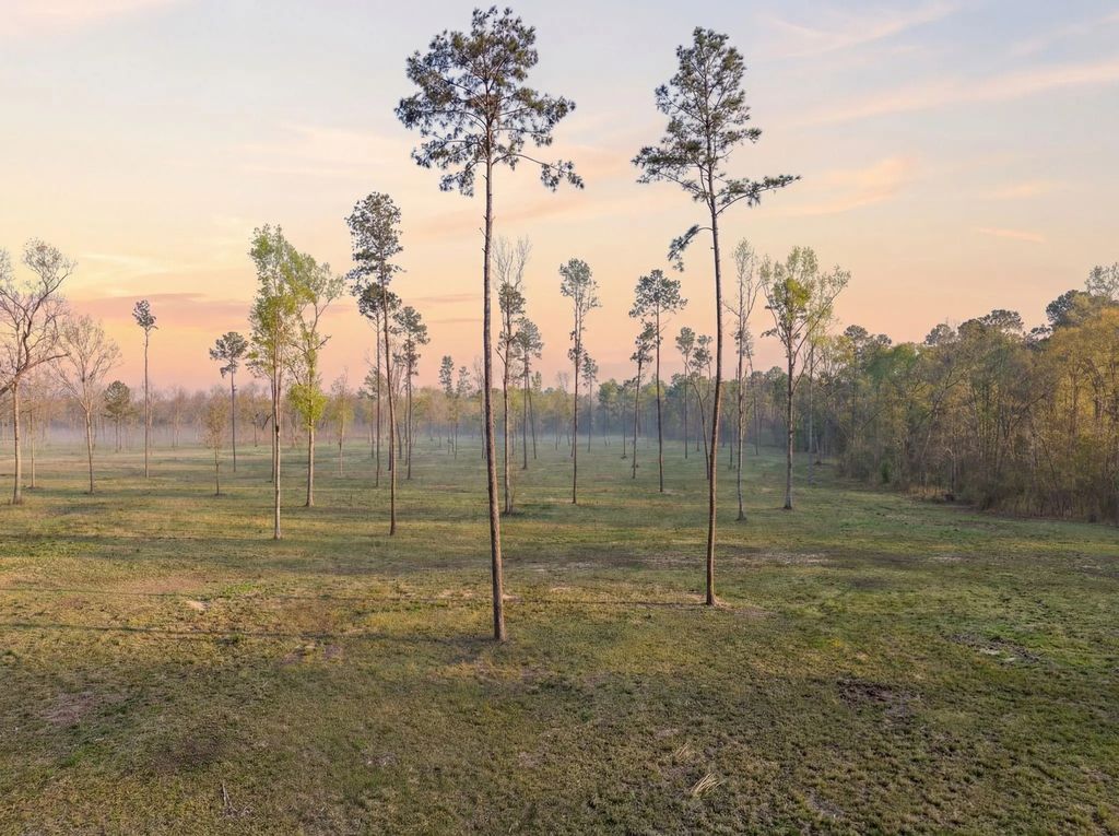 Lot 4 Johnson Drive, Livingston