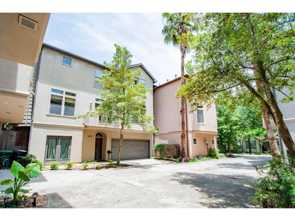 829 Malone Street, Houston