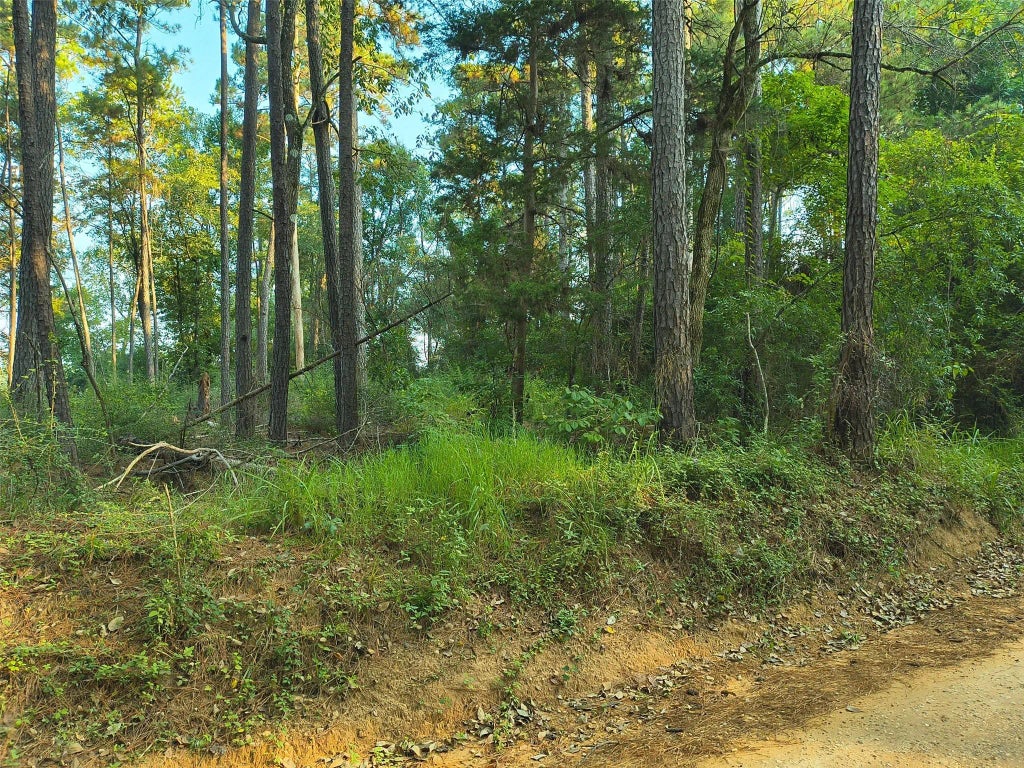 Tbd County Line Rd, Livingston