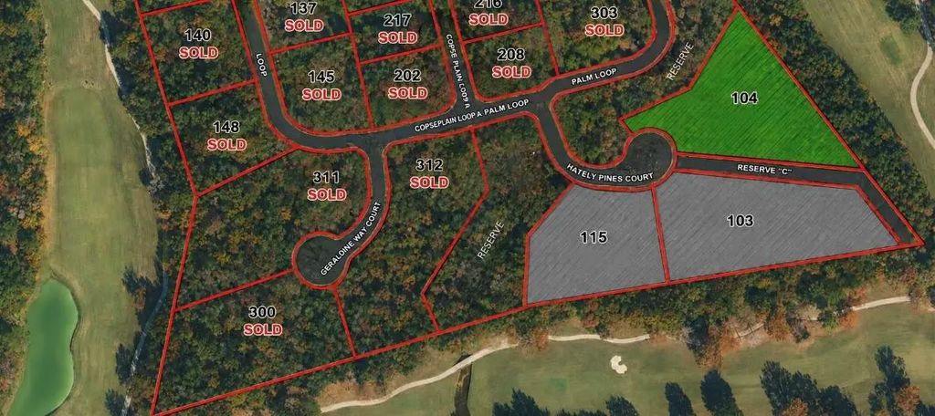 104 Chateau Pines Court, Montgomery