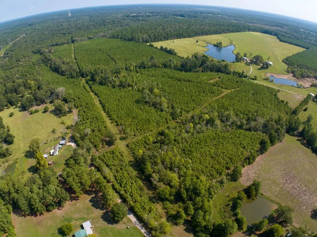 Lightfoot Road, Lufkin
