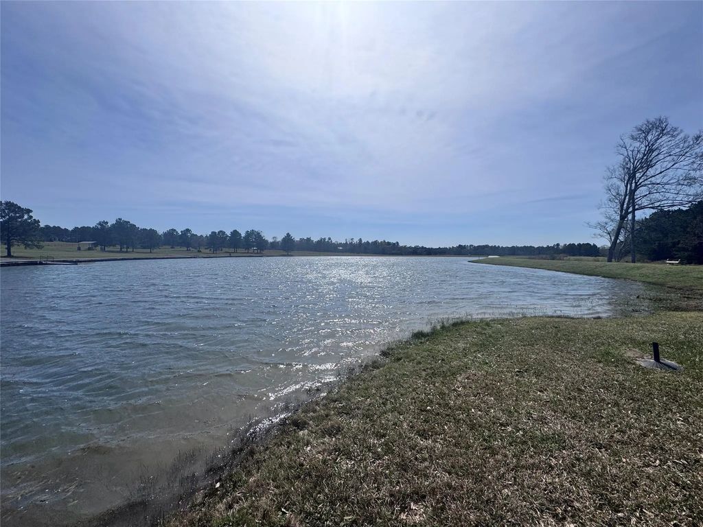 15584 Forest Grove Drive, Willis