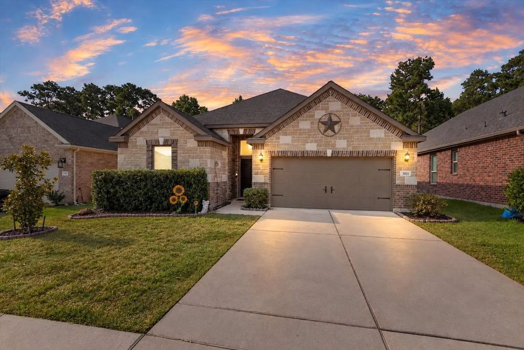 3921 Eagle Nest Lake Lane, Magnolia