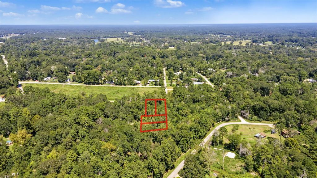 Tbd Barfield Drive, Shepherd