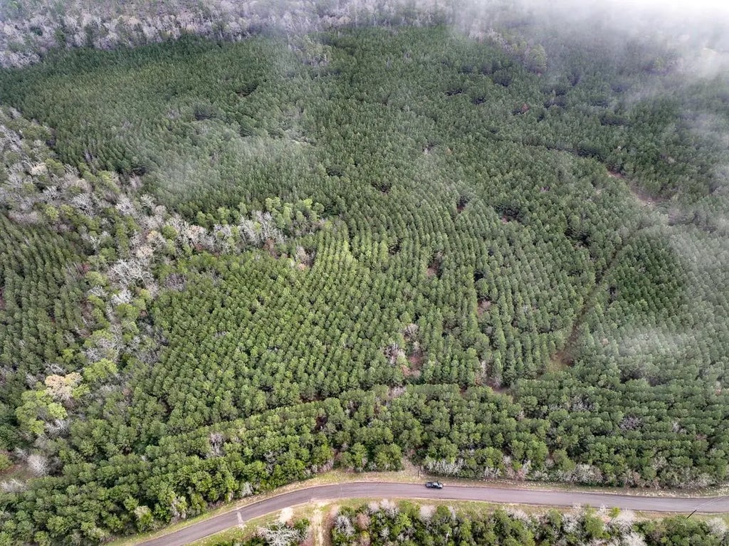 15 Cr 2140, Crockett