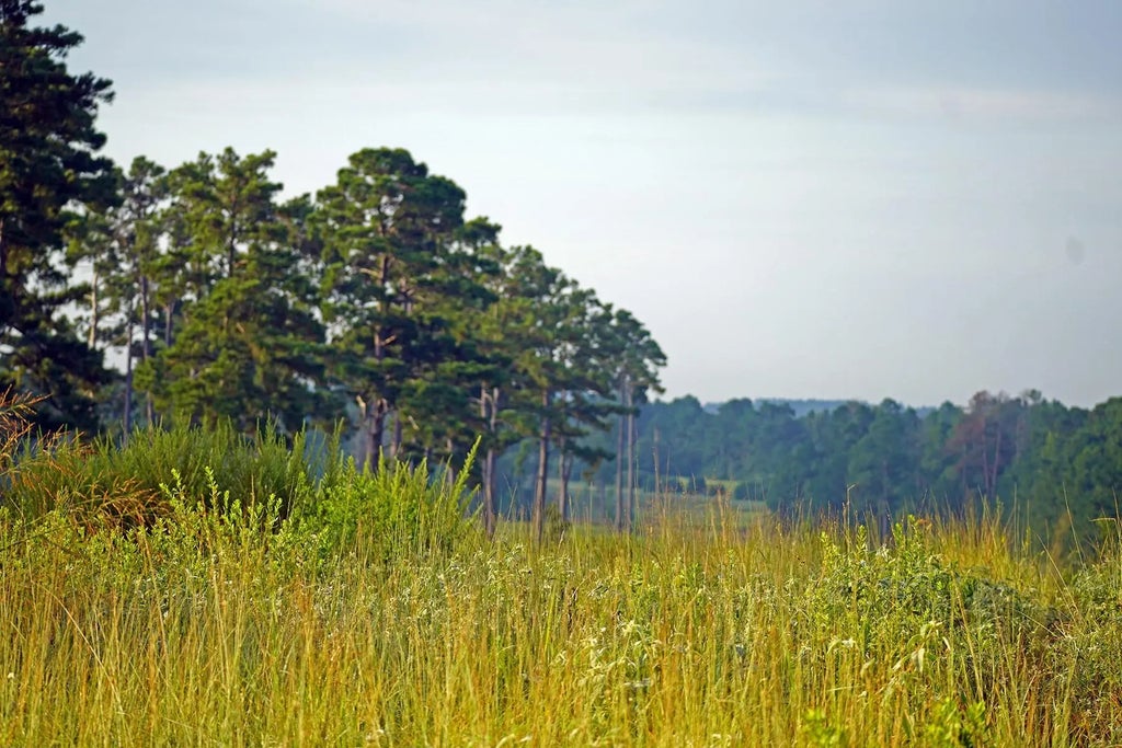 8301 State Highway 7 Highway E, Centerville