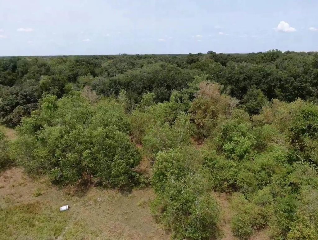 7800 B Brazos River Road, Damon