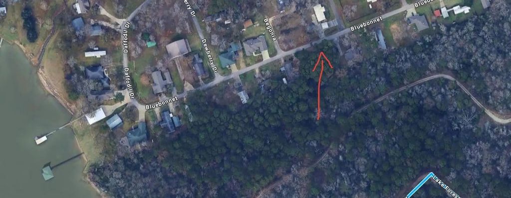 Lots 19 And 20 Bluebonnet, Livingston