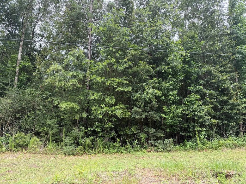 Tbd Buffalo Subdivision, Livingston