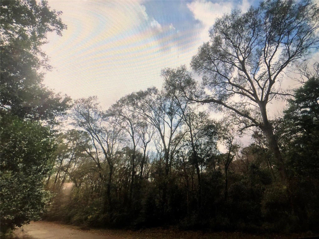 Tbd Riverside Drive, New Caney