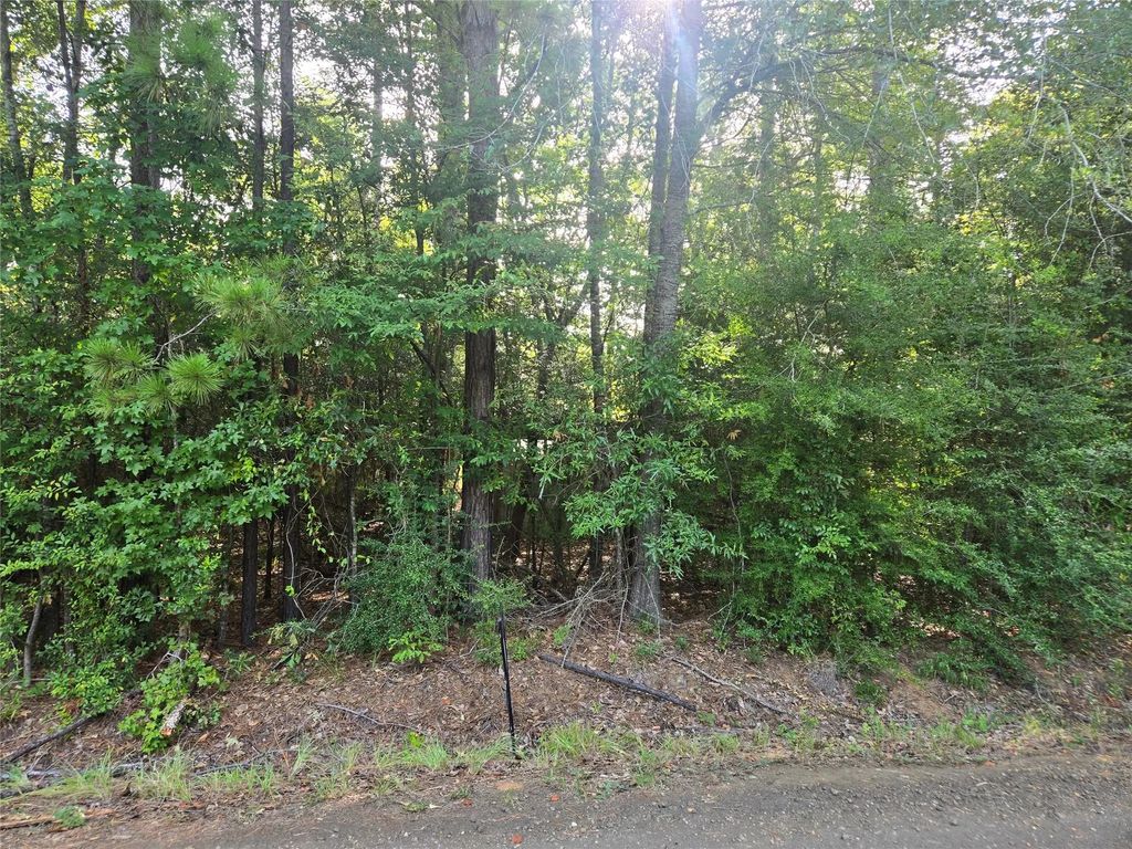 R000104361 Leisure Drive, Hemphill