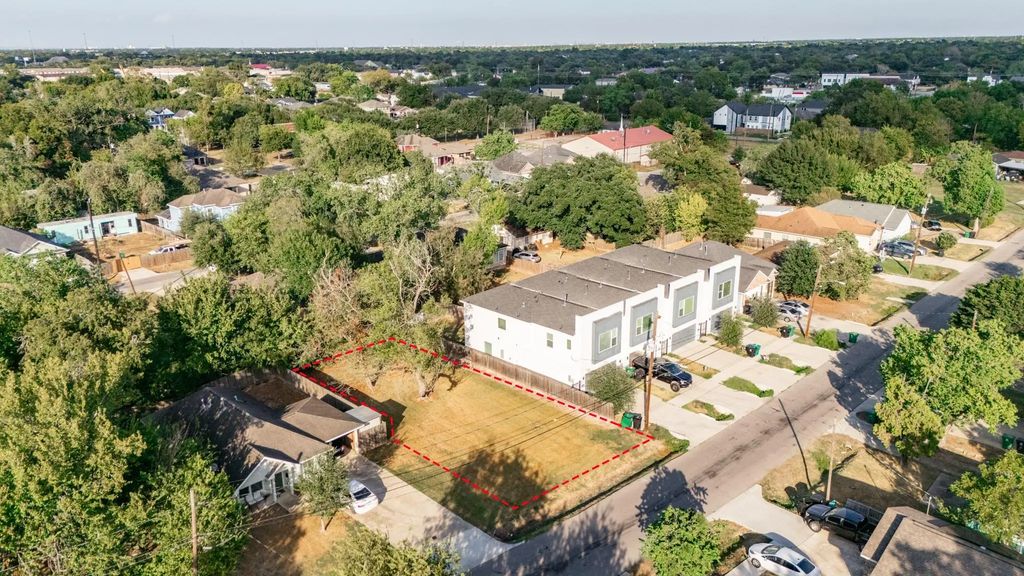 Sunflower, Houston