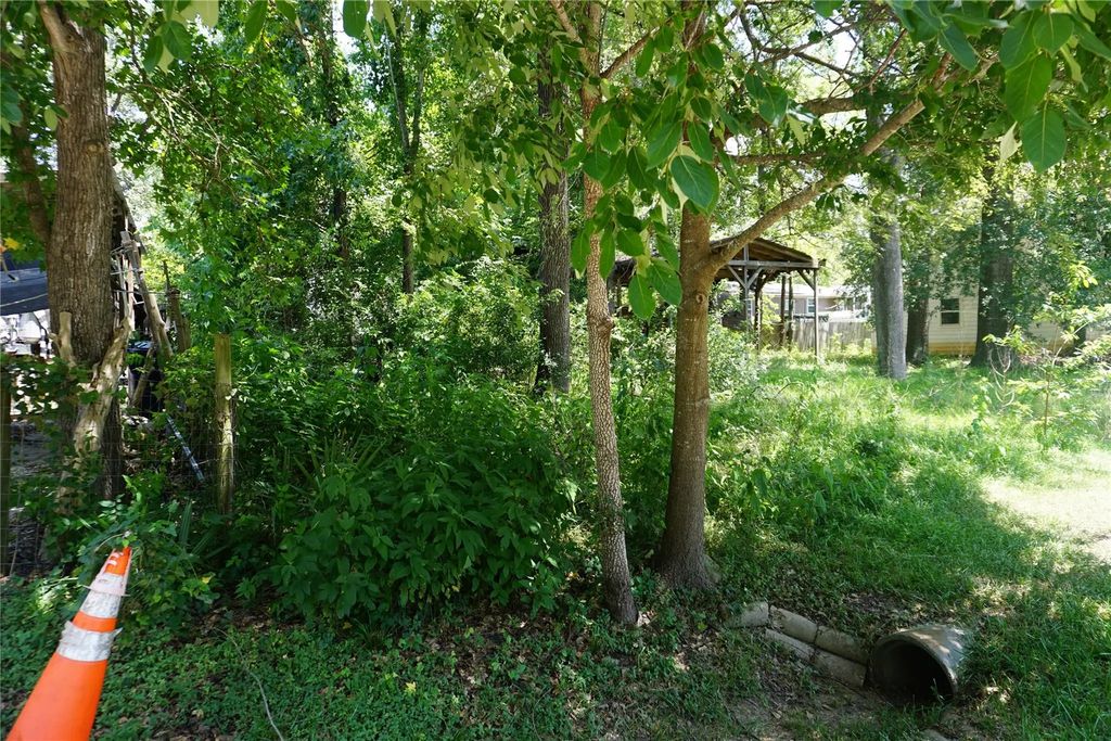 11397 Underwood Street, Willis