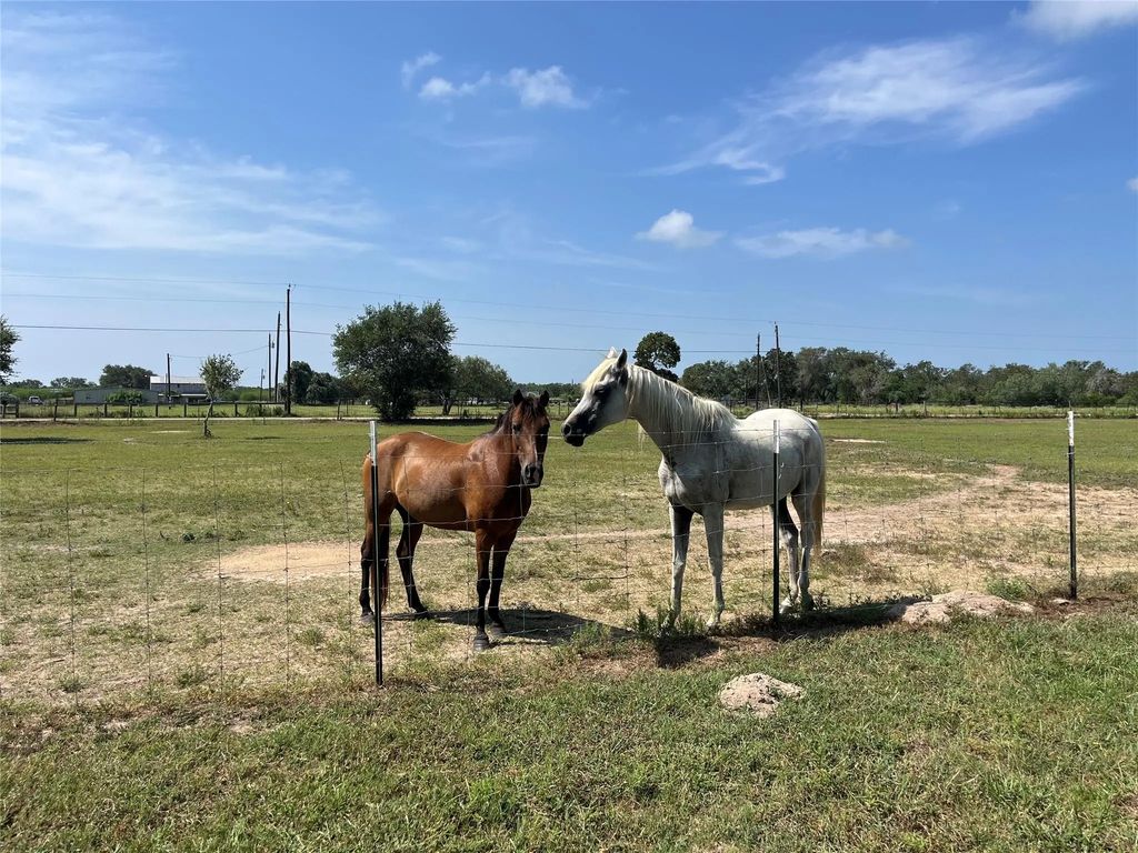796 Shelly Road, Refugio