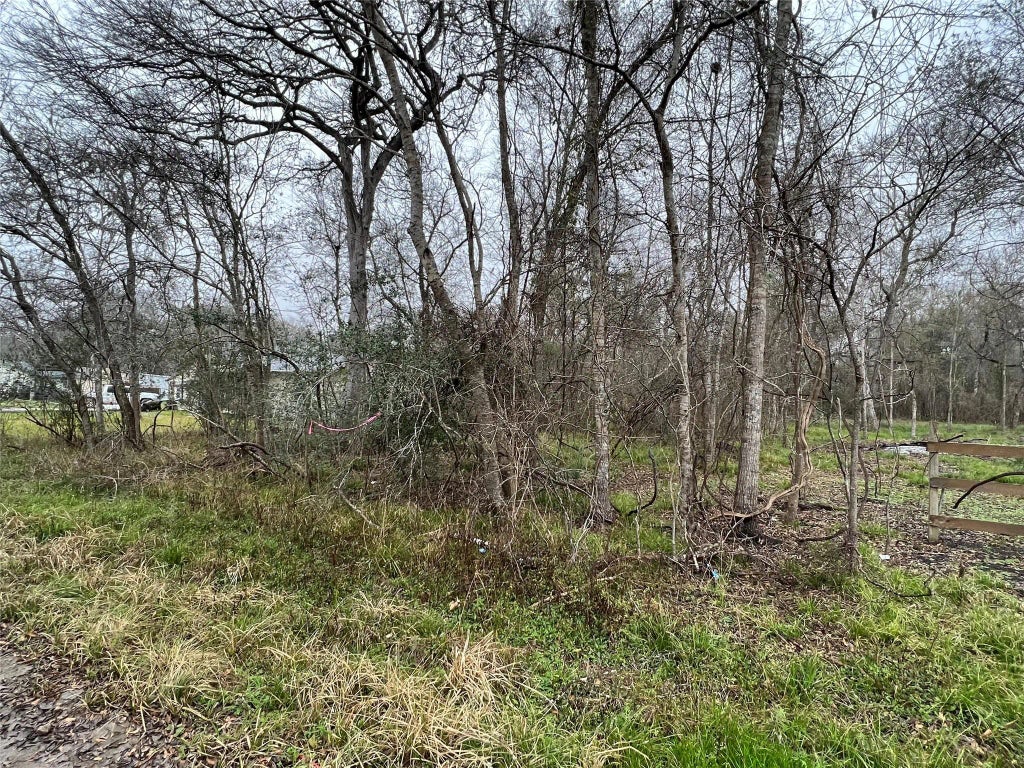 Lost Forest Drive, Guy