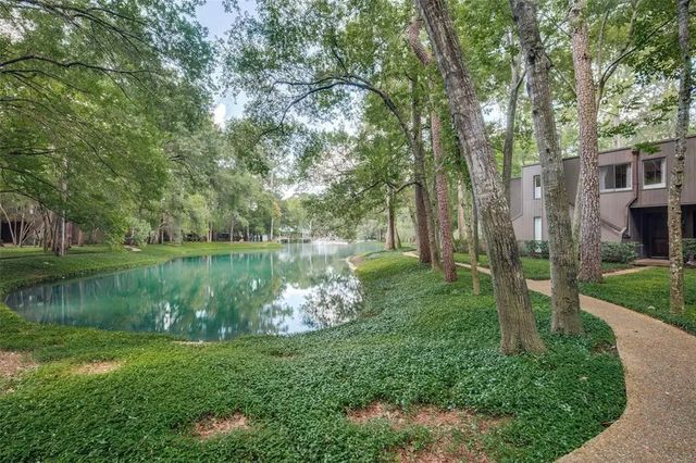 49 Litchfield Lane, Houston