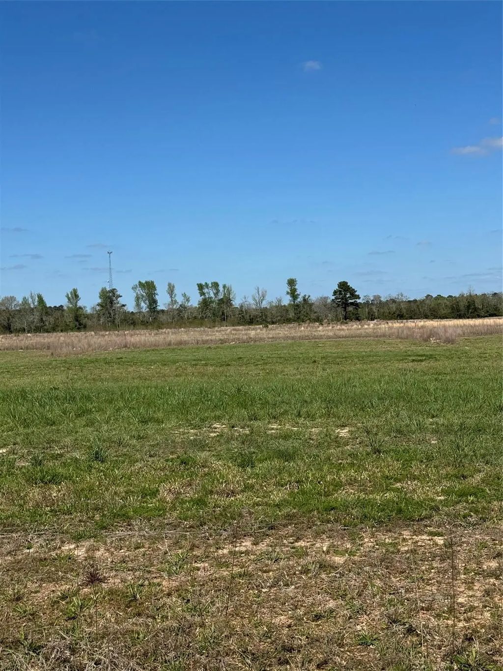 374 County Road 2278, Cleveland