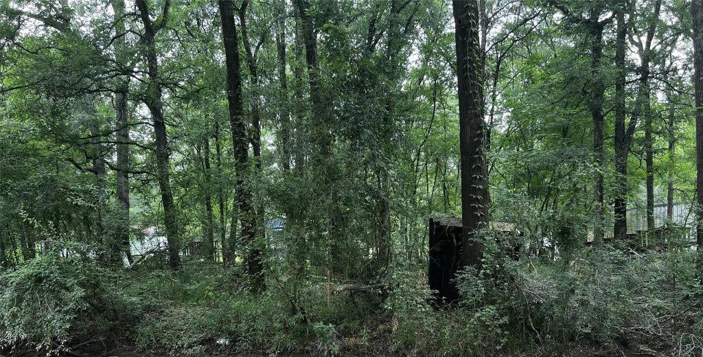 Tbd Mudd Street, Coldspring