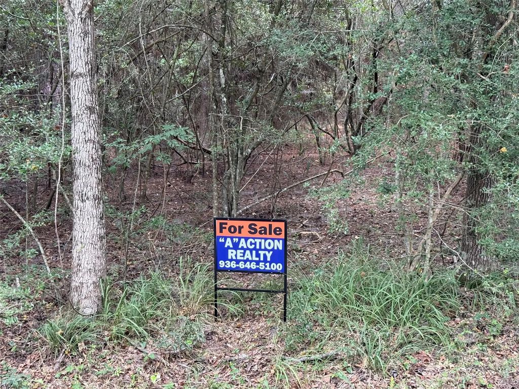Tbd Mockingbird Hills, Livingston