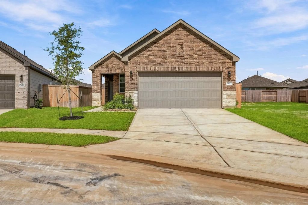 29222 Dandelion Sky Drive, Waller