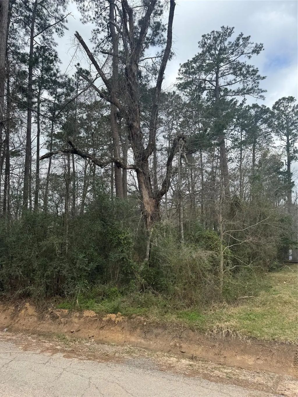 14871 Fannin Rd, Willis