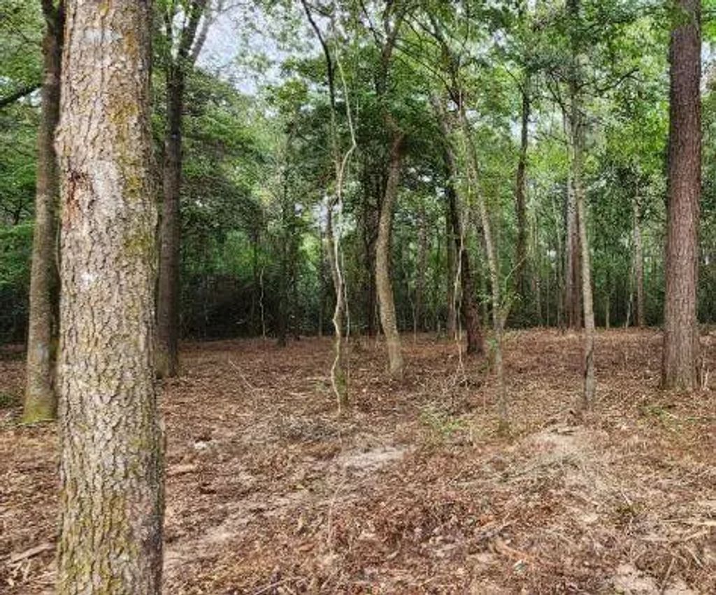 7595 Broussard Road, Beaumont