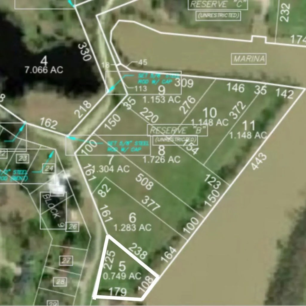 Lot 5 Lake Livingston Lane, Trinity