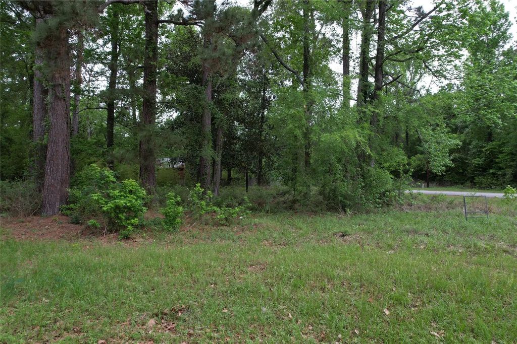 681 Plum Tree, Livingston