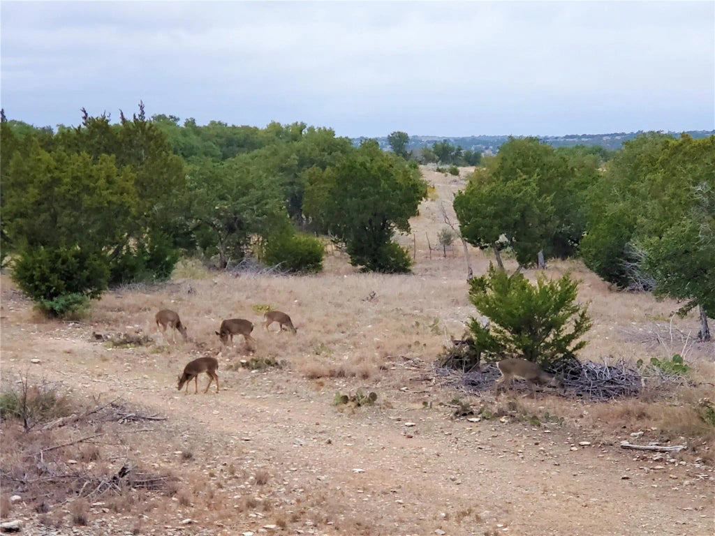 989 Cedar Ridge Road, Junction