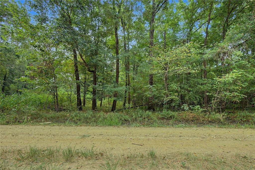 Holt Street, Coldspring
