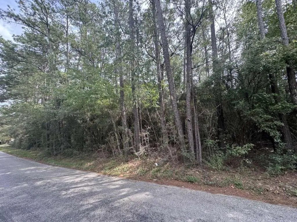 Lot 335 Powdrill, Buna