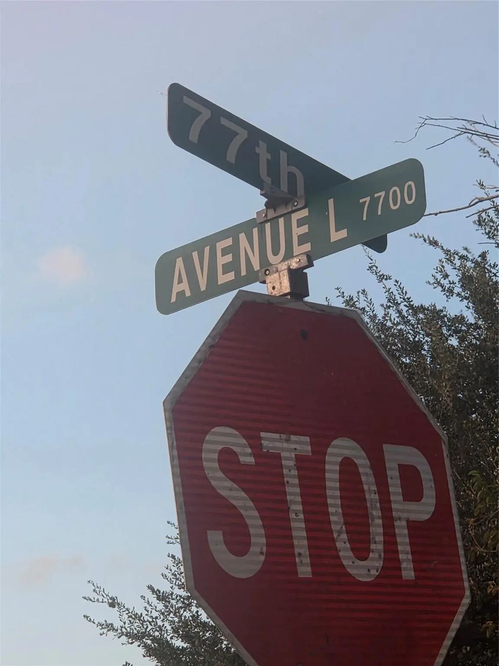 Avenue L, Houston