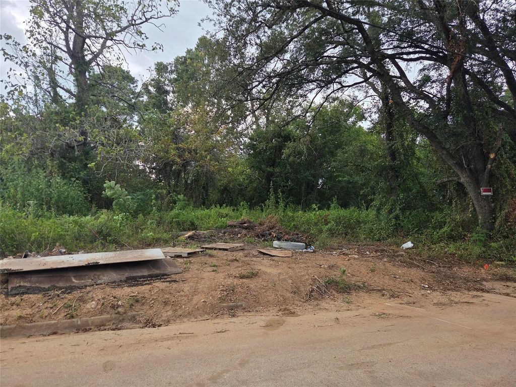 109 S San Jacinto Street, Conroe