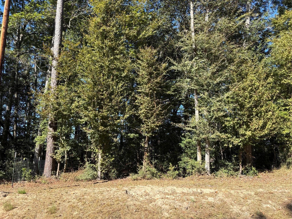 L C Herschap Lane, Livingston