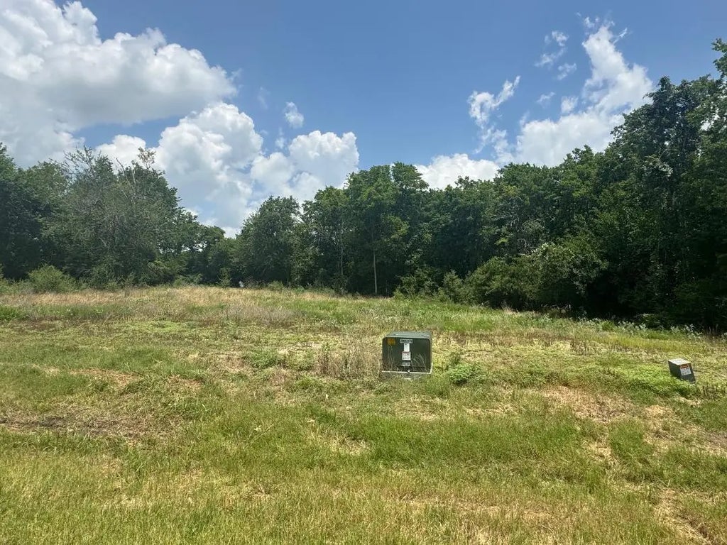 Winding Branch Lane, Chappell Hill